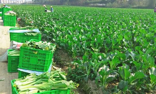 生鲜配送"QQ截图20200603104614.jpg"/