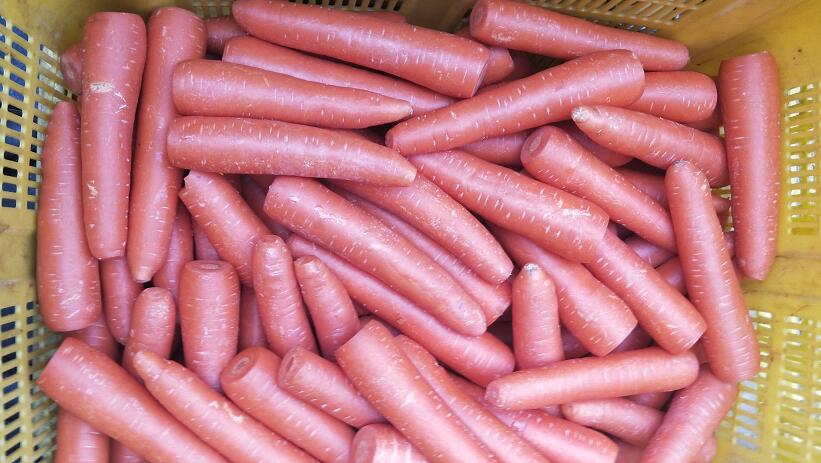 1591582224128811.jpg 生鲜配送"QQ截图20200608101004.jpg"/