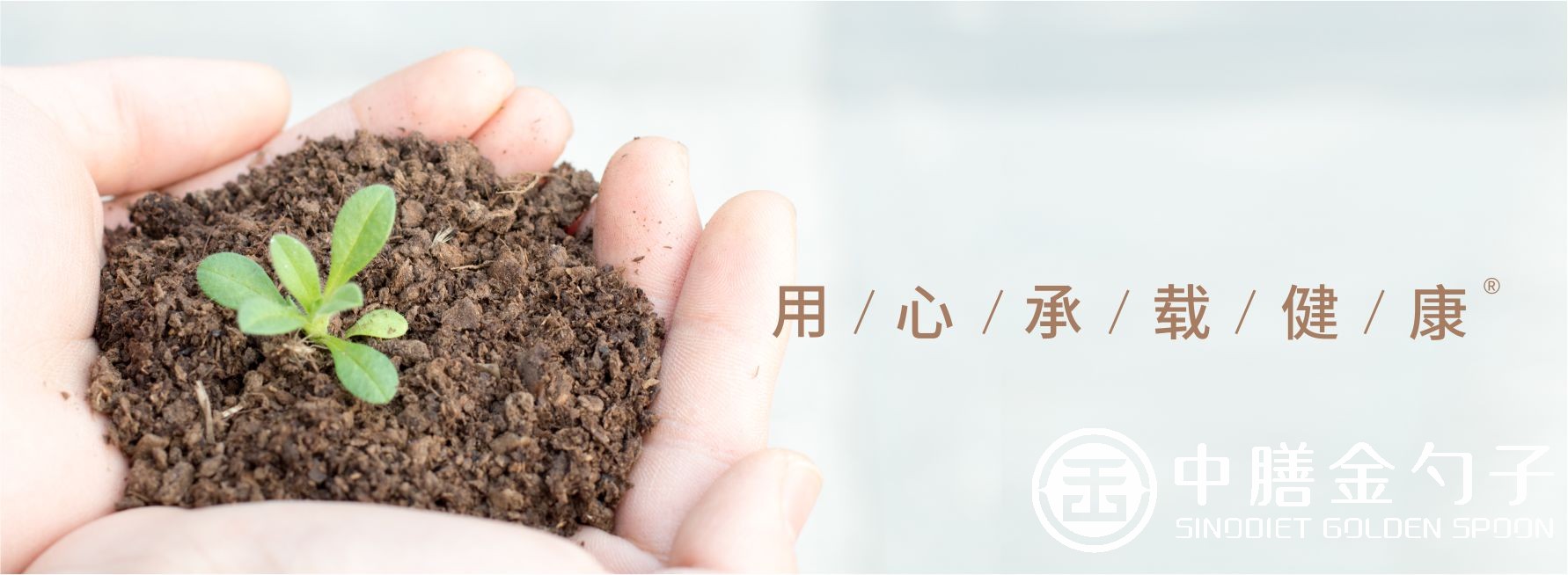 1613785123528942.jpg 1613785123528942.jpg