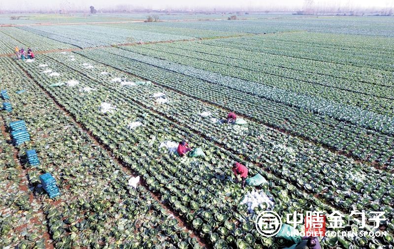 1639117126178316.jpg 1639117126178316.jpg