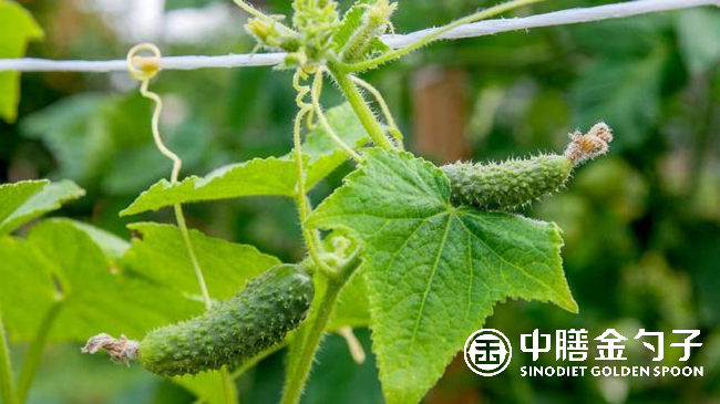 1656639592100593.png 图片3.png