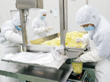 净菜加工中心介绍